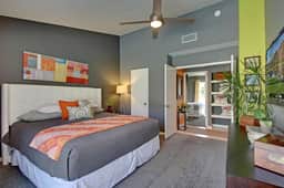Palm Springs Perfection - Orange Pop Palm Springs