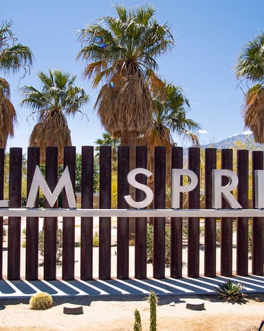 Palm Springs Expertise