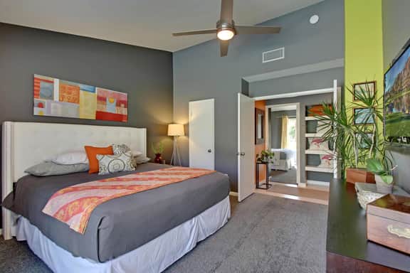Palm Springs Perfection - Orange Pop Palm Springs